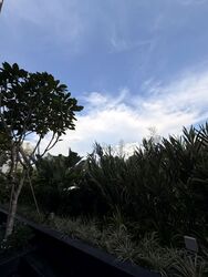 Sceneca Residence (D16), Apartment #563021031